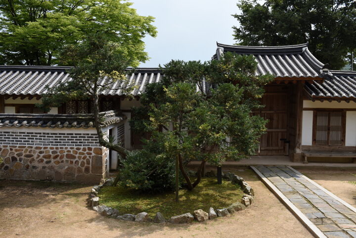 화성 융릉 개비자나무_사당전경1 (촬영년도 : 2015년)