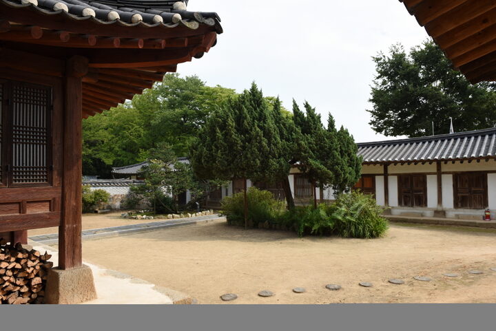 화성 융릉 개비자나무_사당전경2 (촬영년도 : 2015년)