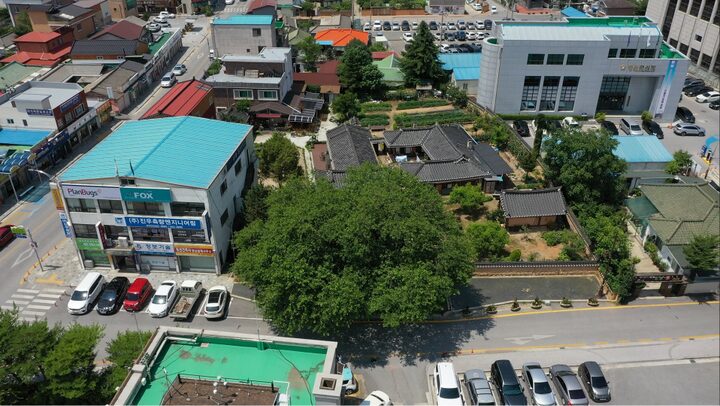 정선 봉양리 뽕나무 항공사진