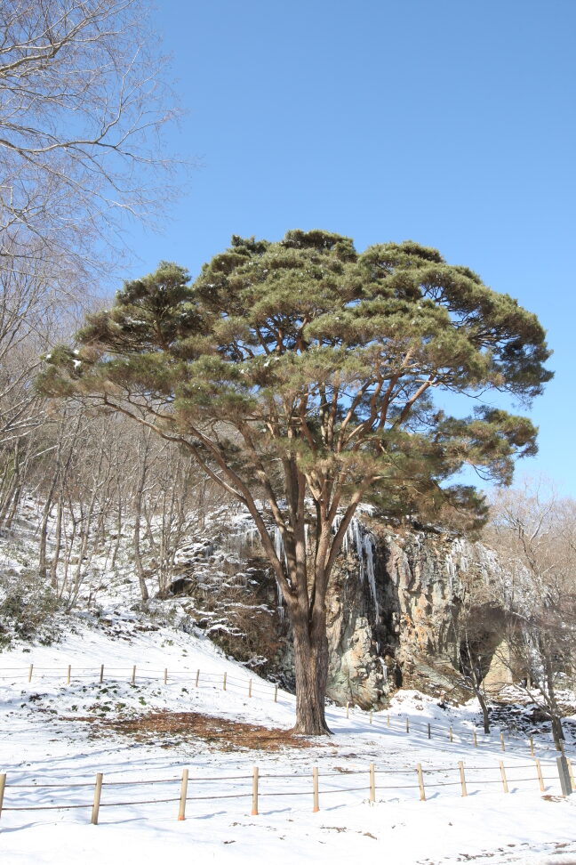 고창 선운사 도솔암 장사송(2024년)