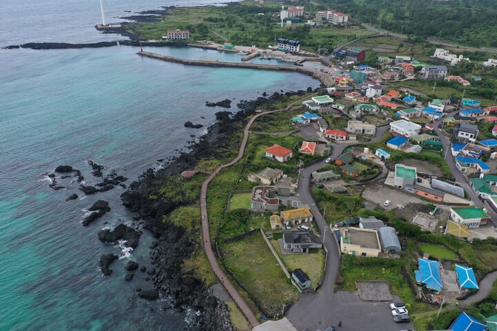 제주 월령리 선인장군락(2021년)