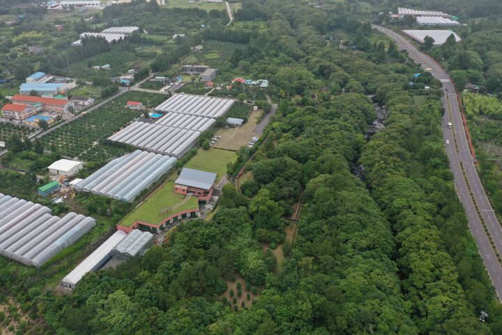 제주 상효동 한란 자생지(2021년)