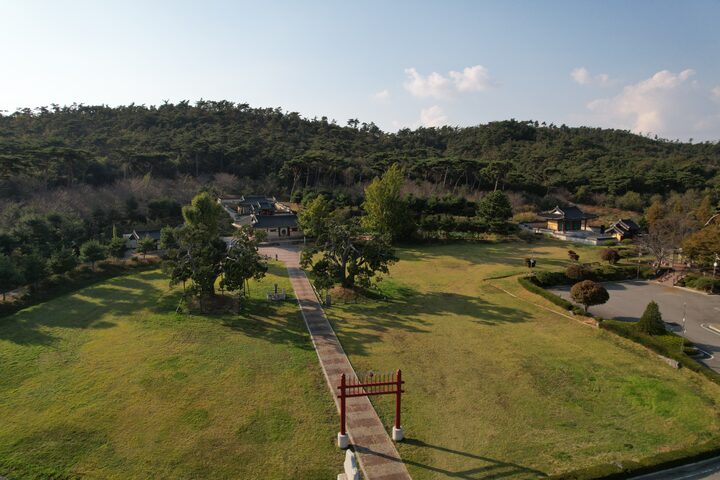 서산 송곡서원 향나무(2023년)