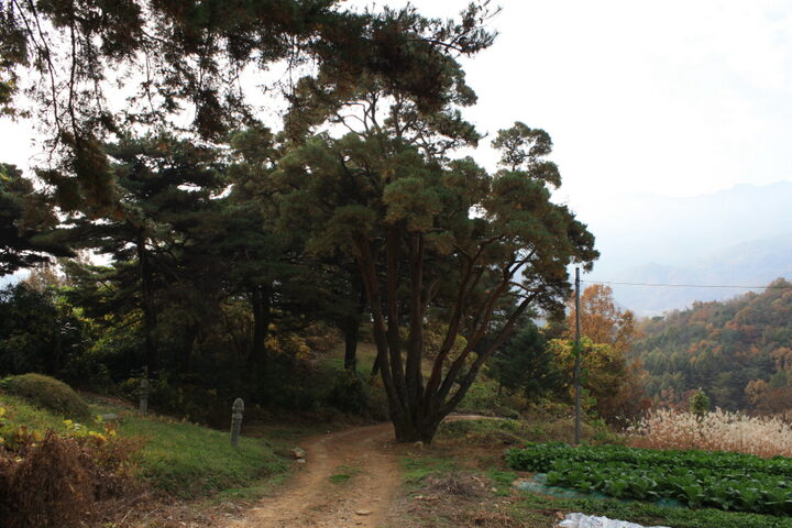 반송