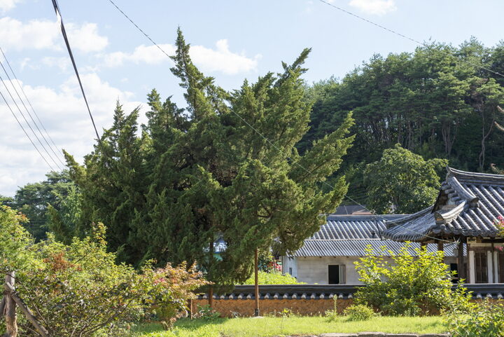 원경1
