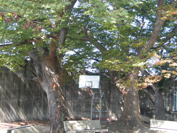 합천군청