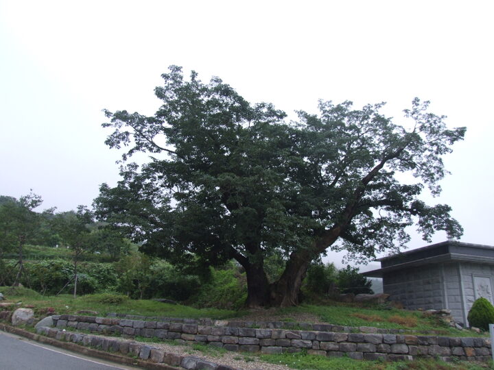 합천군청