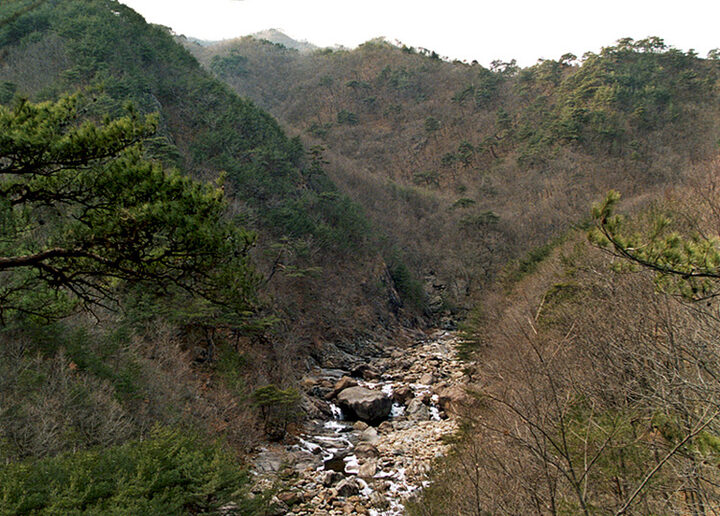 지리산 대원사 일원
