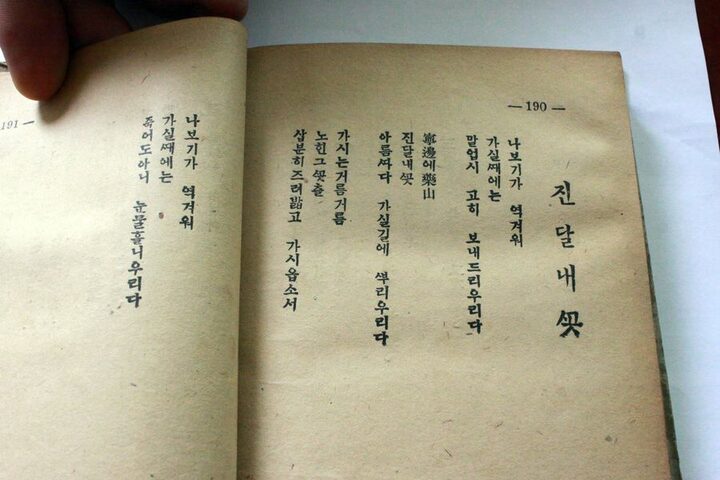 본문