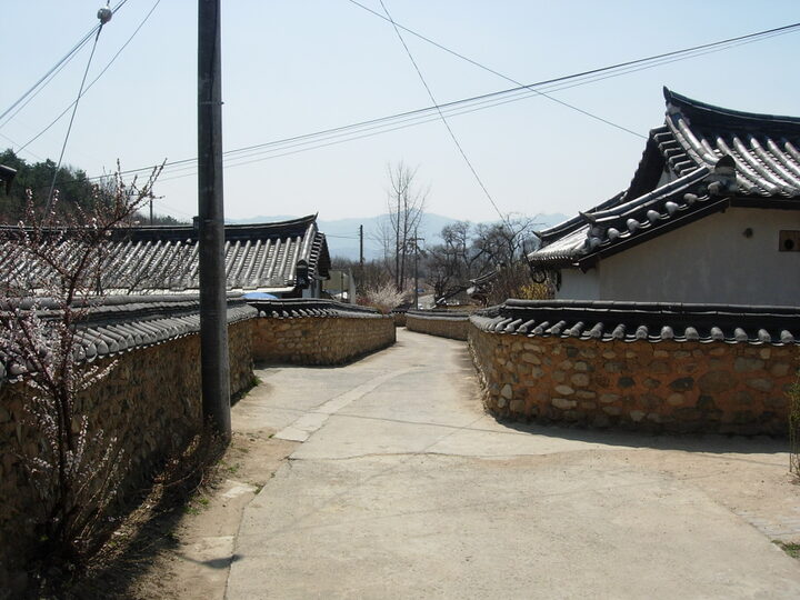 대구 옻골마을 옛 담장