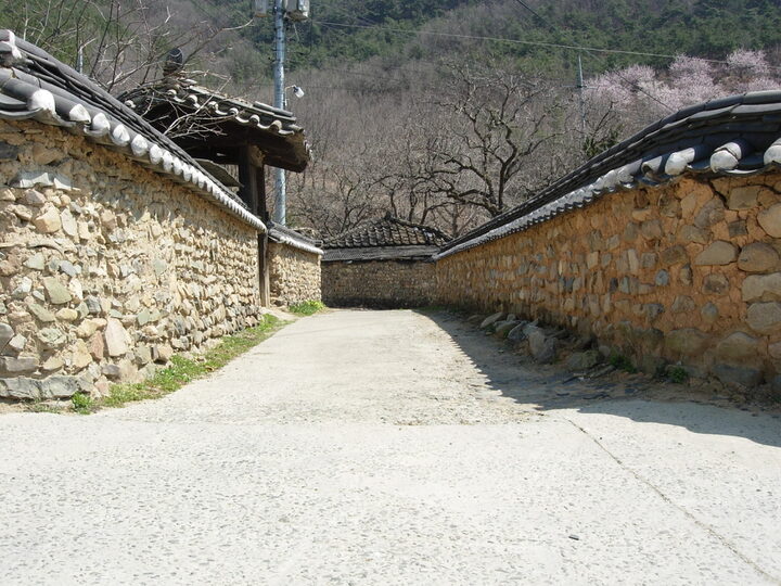 대구 옻골마을 옛 담장1