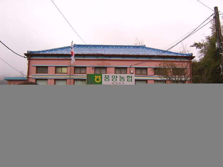 정면