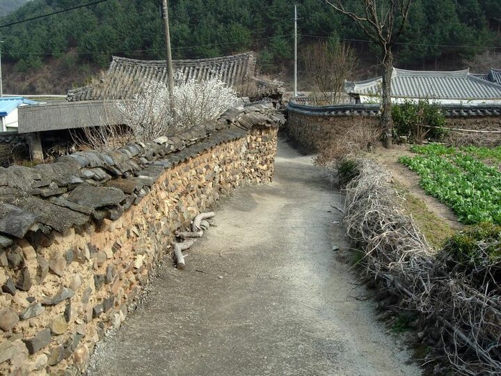 담장