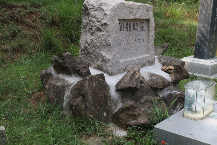 현지사진