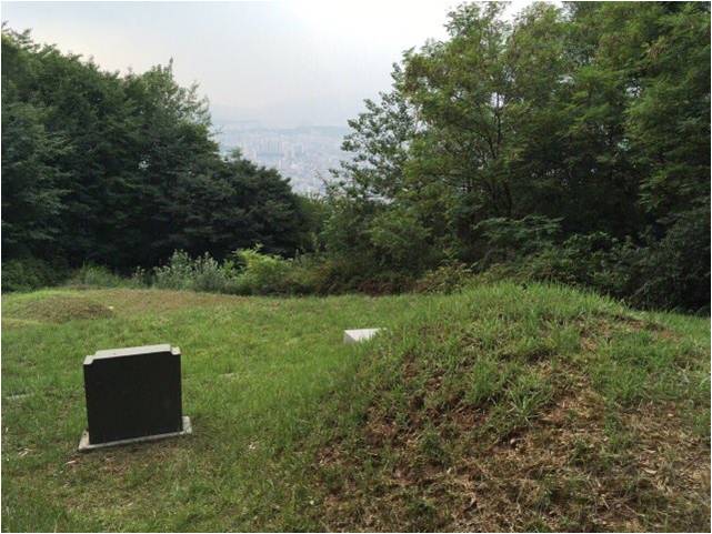 현지사진
