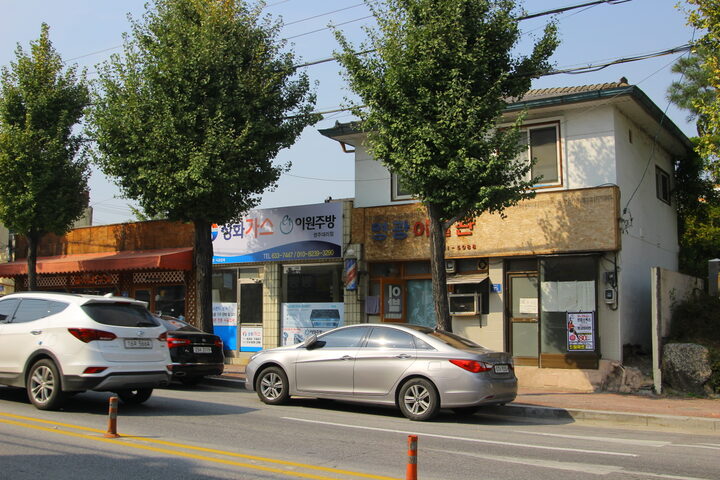 현지조사