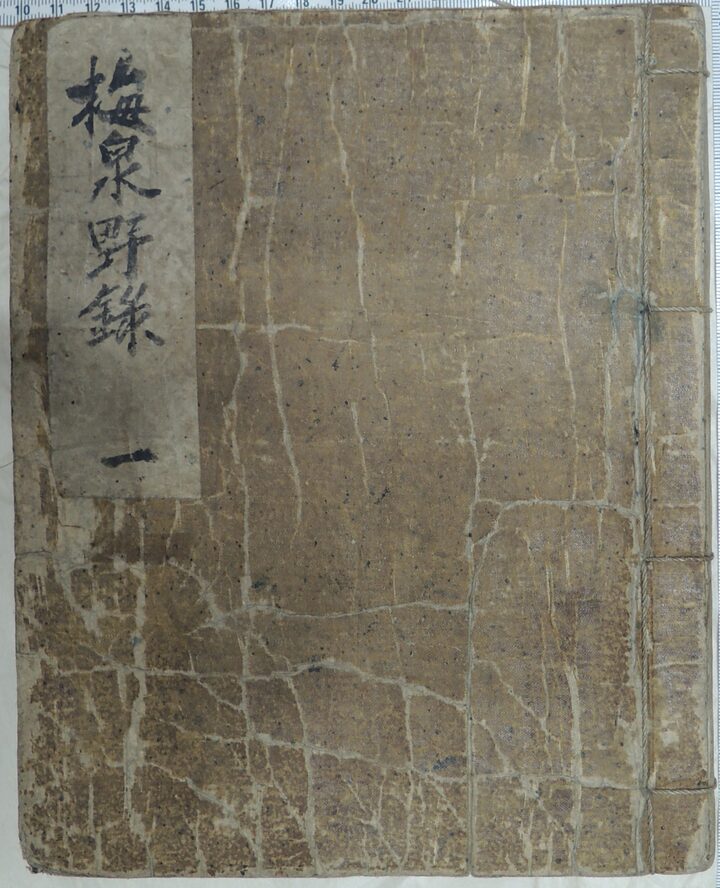 매천 황현 매천야록(梅泉野錄)