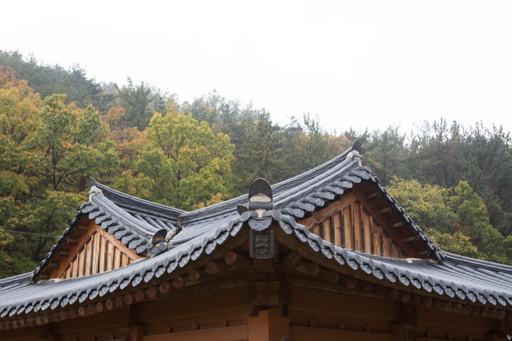 대구 옻골마을 옛 담장_기와 (촬영년도 : 2015년)