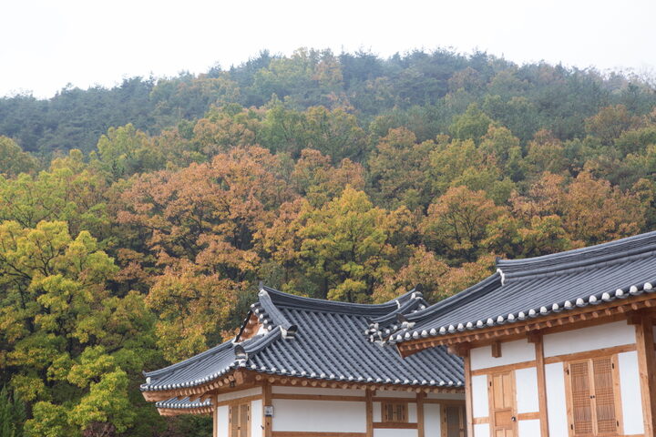 대구 옻골마을 옛 담장_마을 전경 (촬영년도 : 2015년)