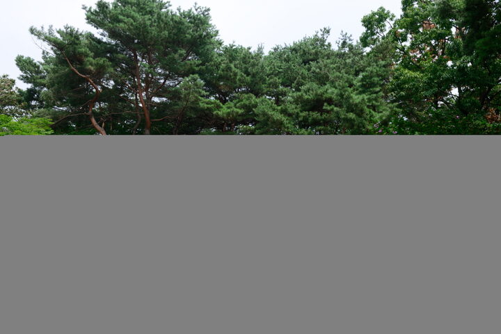 서울 여운형 묘소_비석6 (촬영년도 : 2015년)