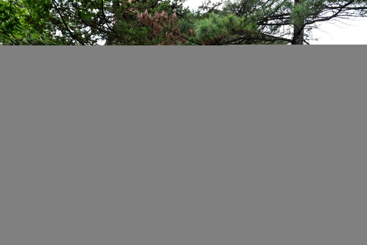 서울 한국기독교장로회총회 선교교육원_전경4 (촬영년도 : 2015년)