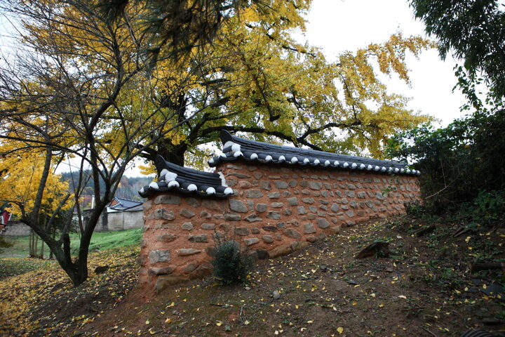 화순 오지호 생가_흑담 (촬영년도 : 2015년)