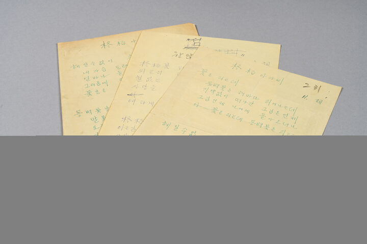 동백 아가씨 악보 대표사진(부산근현대역사관)