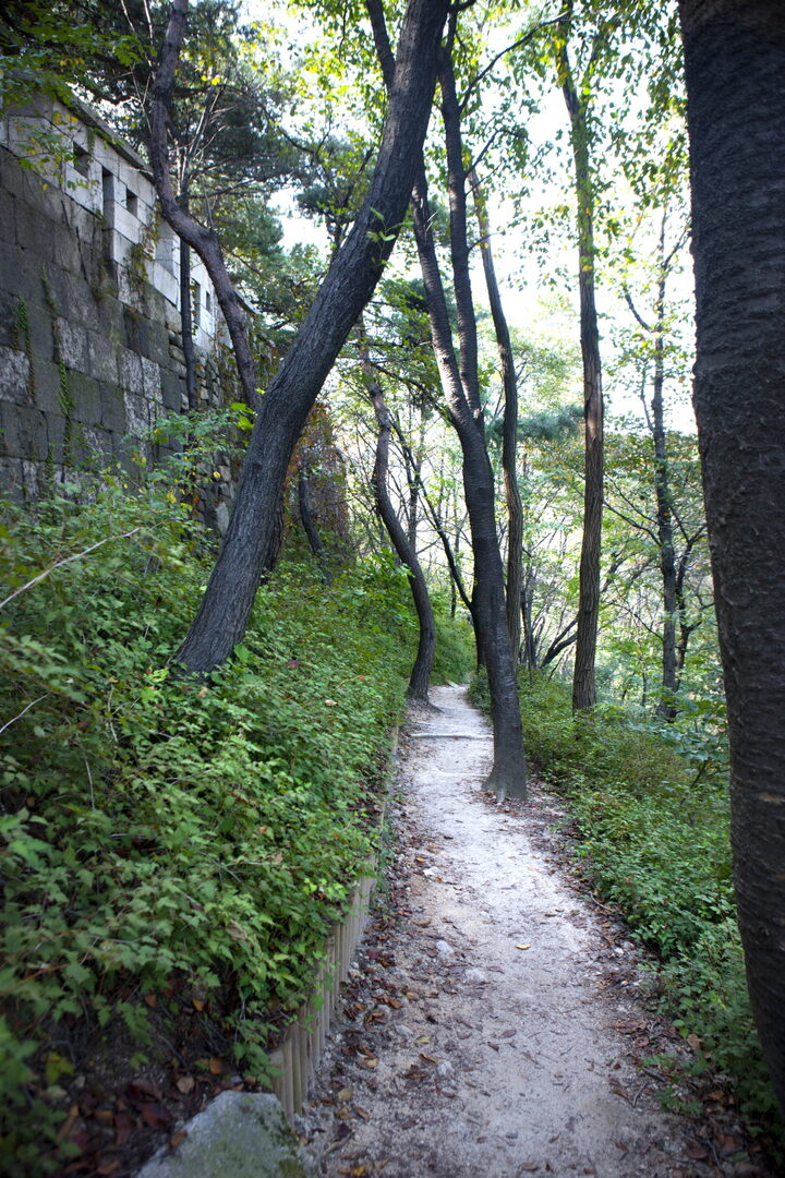 백악산 서울성곽길 여름