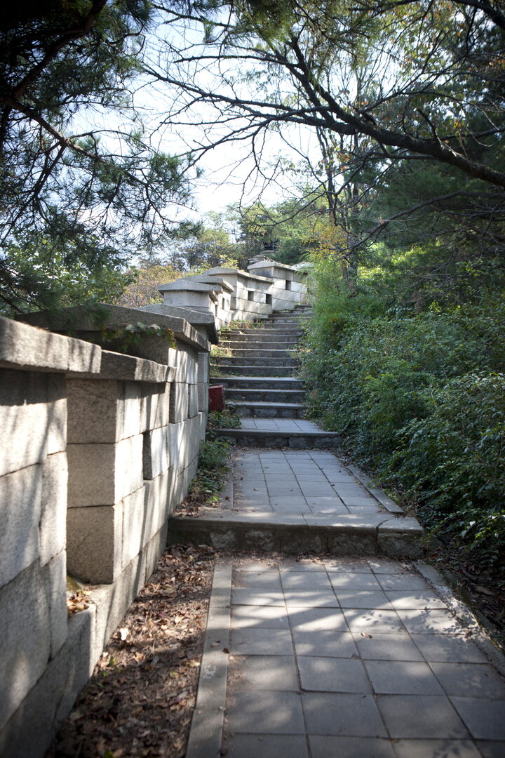 백악산 서울성곽길 여름