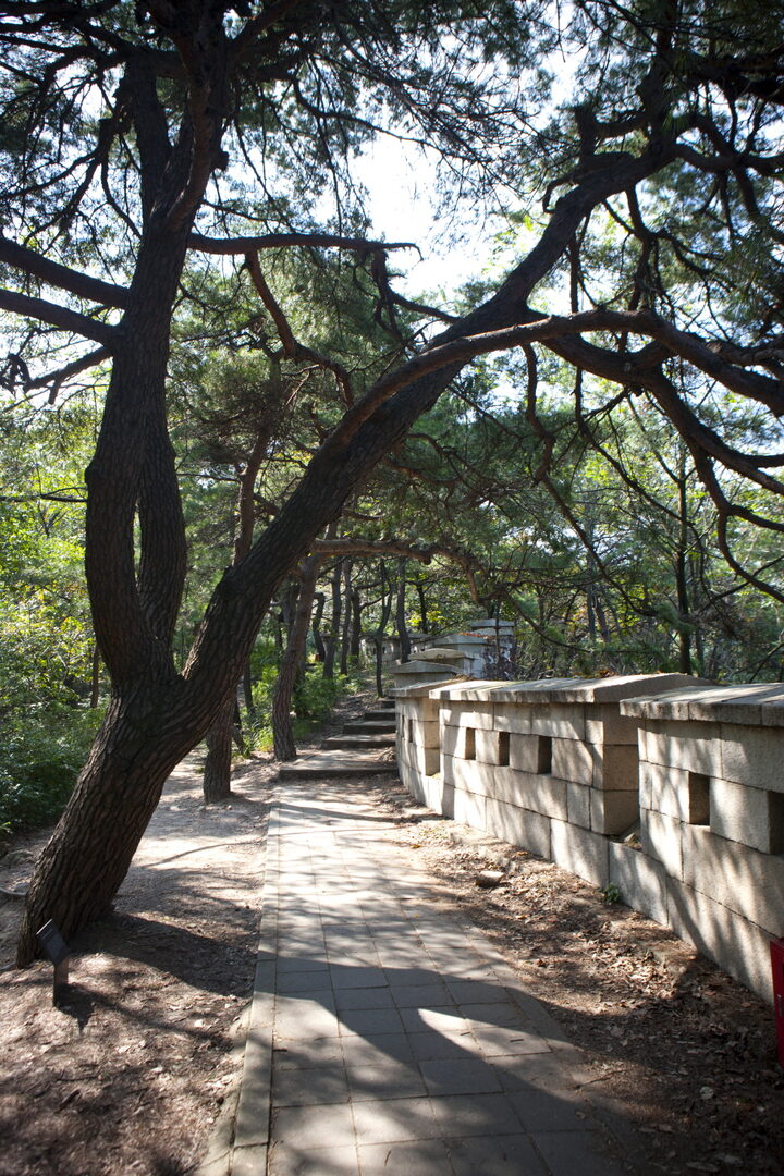백악산 서울 성곽길