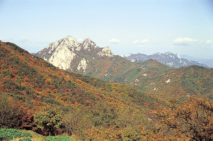 삼각산단풍