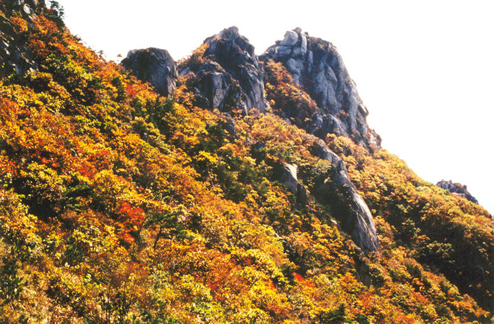 삼각산단풍