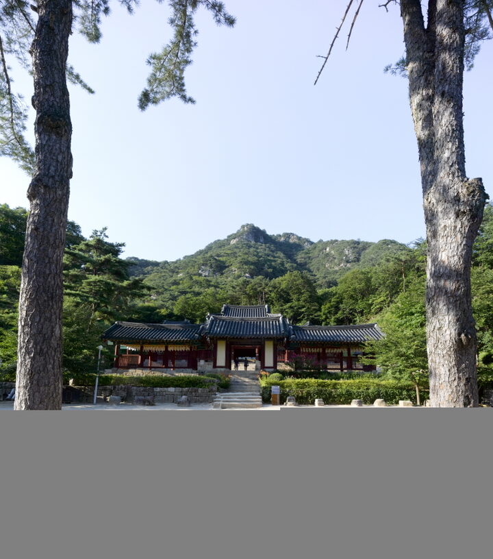 청평사 고려선원 전경(여름)