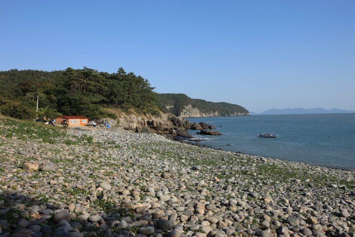 완도정도리의구계등