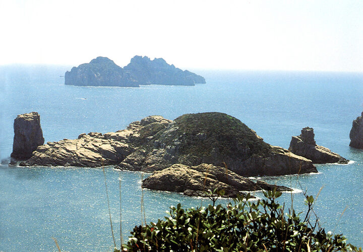 상백도,하백도일원