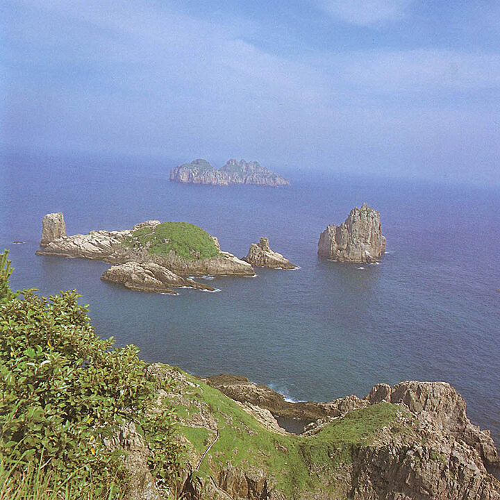 상백도,하백도일원