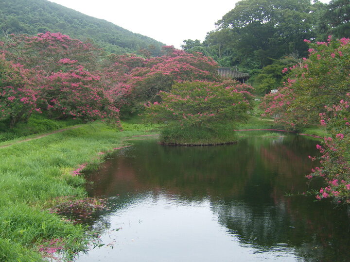명옥헌 원림 연못 전경