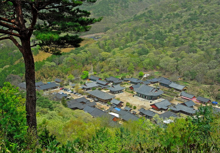 조계산송광사일원