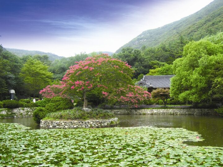 진도 운림산방