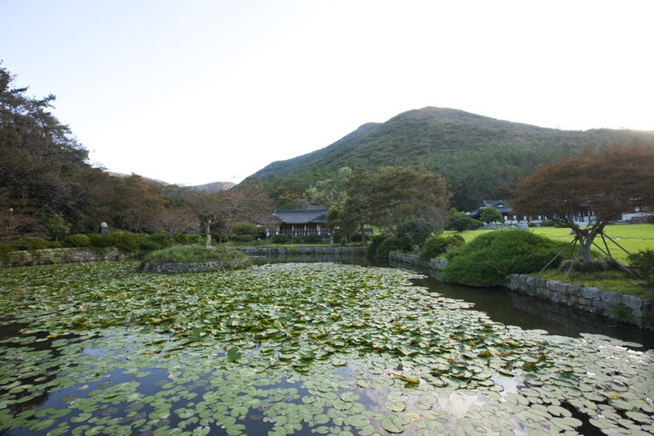 진도 운림산방 전경