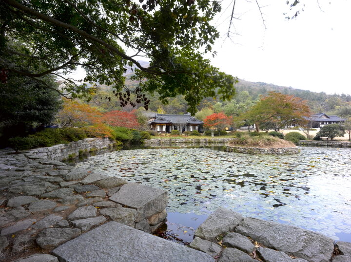 진도 운림산방 가을전경
