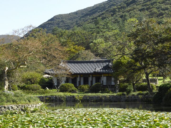 진도 운림산방 여름전경
