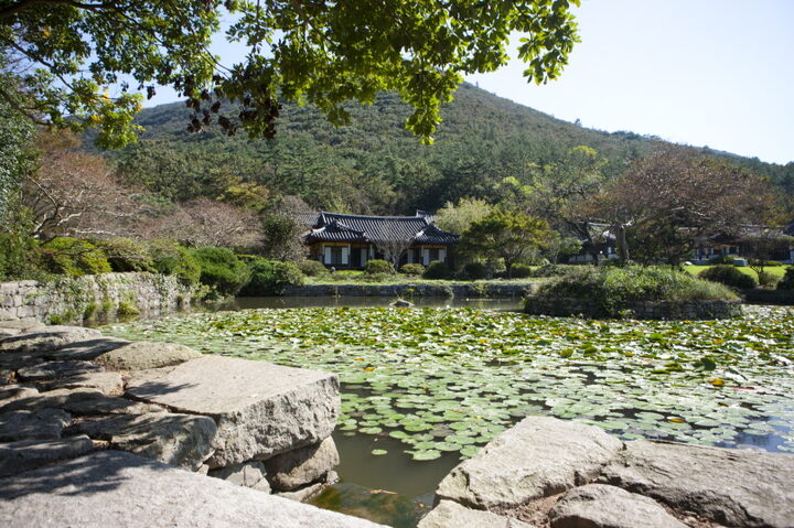 진도 운림산방