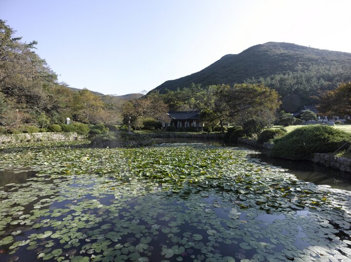 진도 운림산방 전경