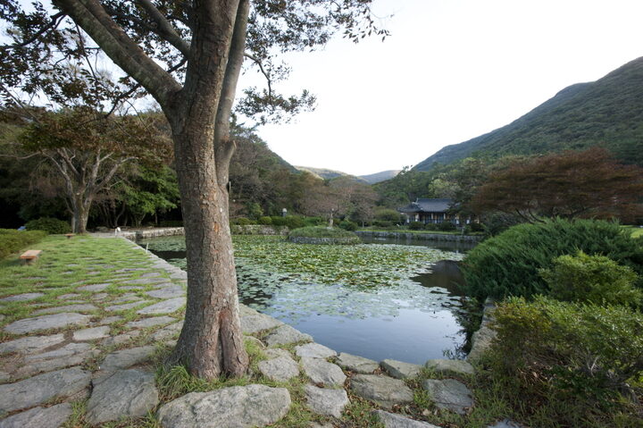 진도 운림산방 전경