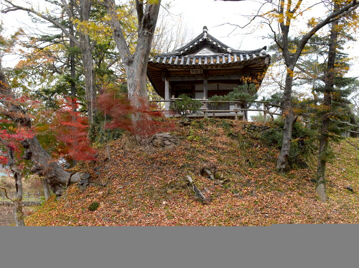 화순 임대정 원림