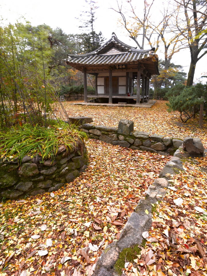 화순 임대정 원림