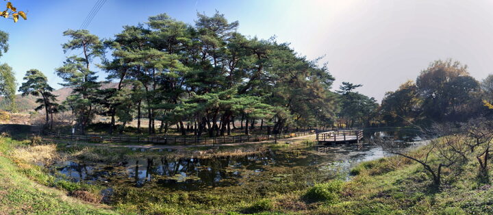 덕동숲 전경