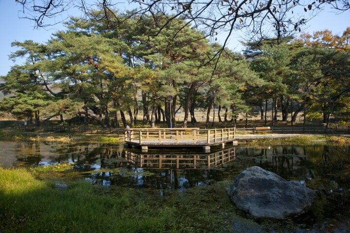 덕동숲 전경
