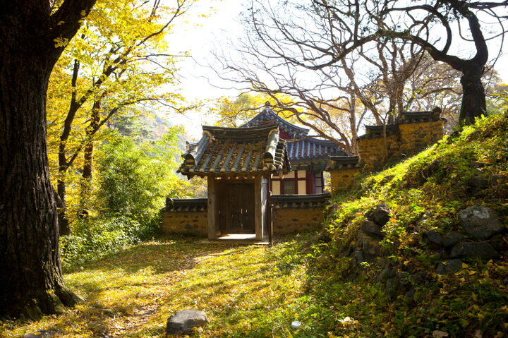 용계정 우측입구(가을)